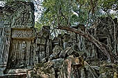 Angkor - ruins of Beng Mealea